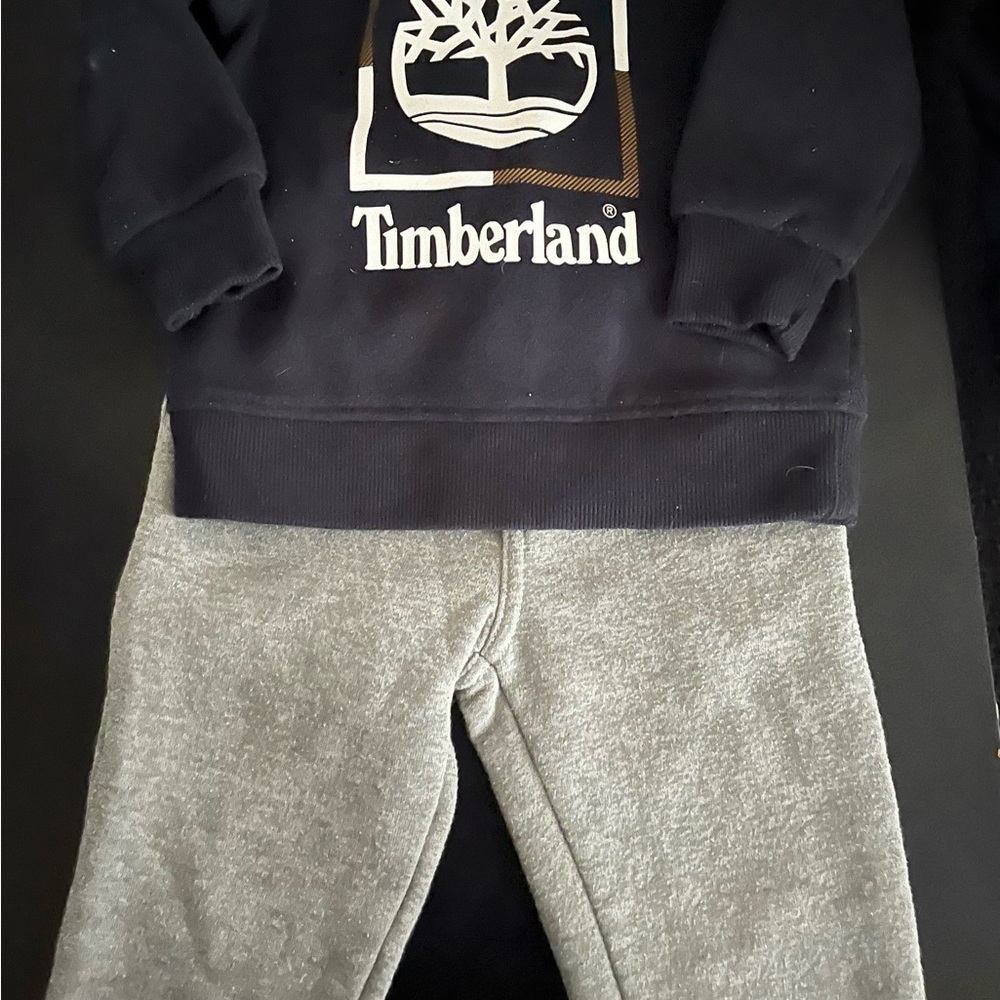 Timberland Kids Gray Sweat outfit